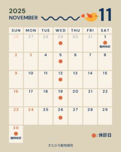 11月の医院からのお知らせ